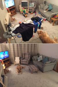 Before and after: Pressing the daily reset button with cold beer clearly visible