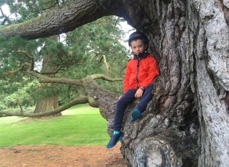 Conor enjoying his favourite pastime of climbing trees in his favourite place, Tollymore.